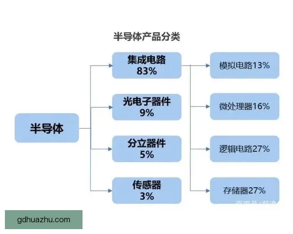 67rrr为核心的新趋势与网络文化深度解析全景观察